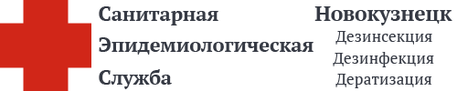 СЭС Новокузнецка